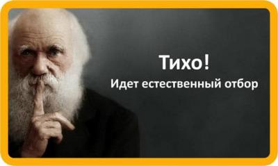 Прикрепленное изображение: 199572310_1181103422406425_4329056319587669774_n.jpg